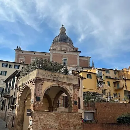 Nel Cuore Della Citta Siena